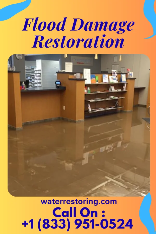 Flood Damage Restoration in Hazel Run, MN