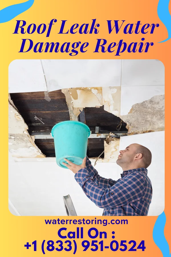 Roof Leak Water Damage Repair in Hazel Run, MN