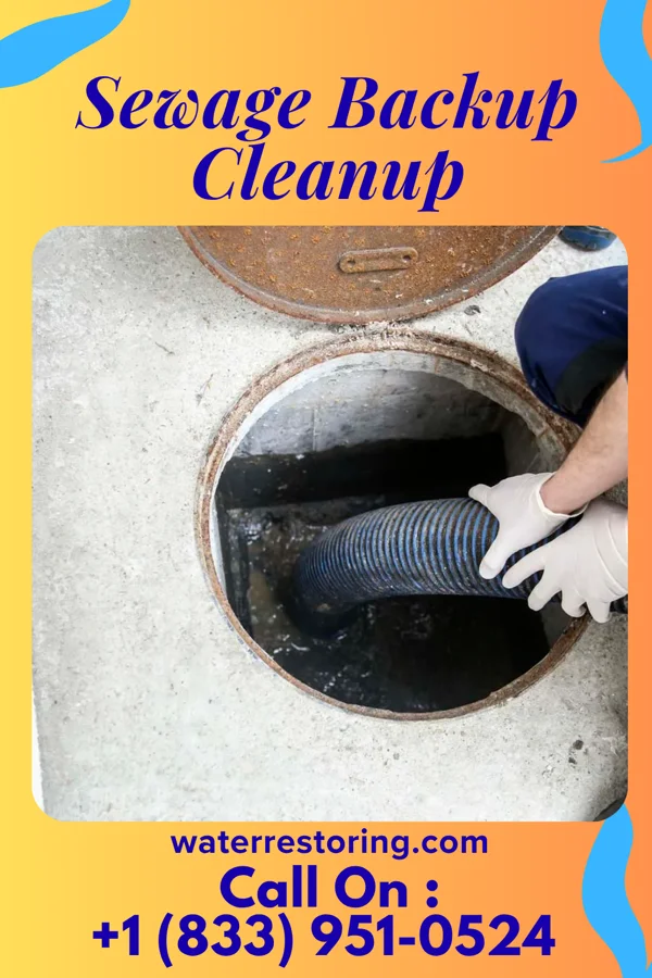 Sewage Backup Cleanup in Hazel Run, MN