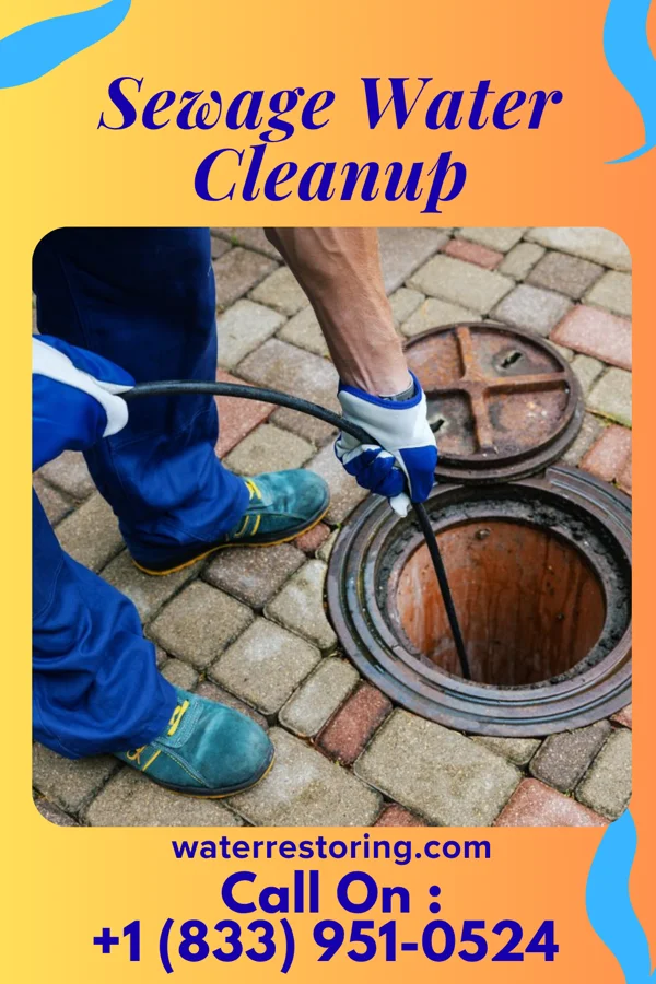 Sewage Water Cleanup in Hazel Run, MN