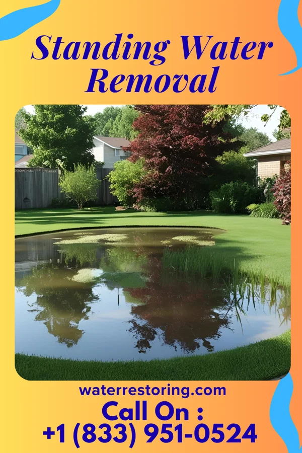 Standing Water Removal in Hazel Run, MN